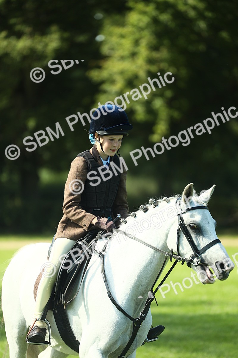 SBM_39212 - S29 - Novice & Newcomers Working Hunter Pony