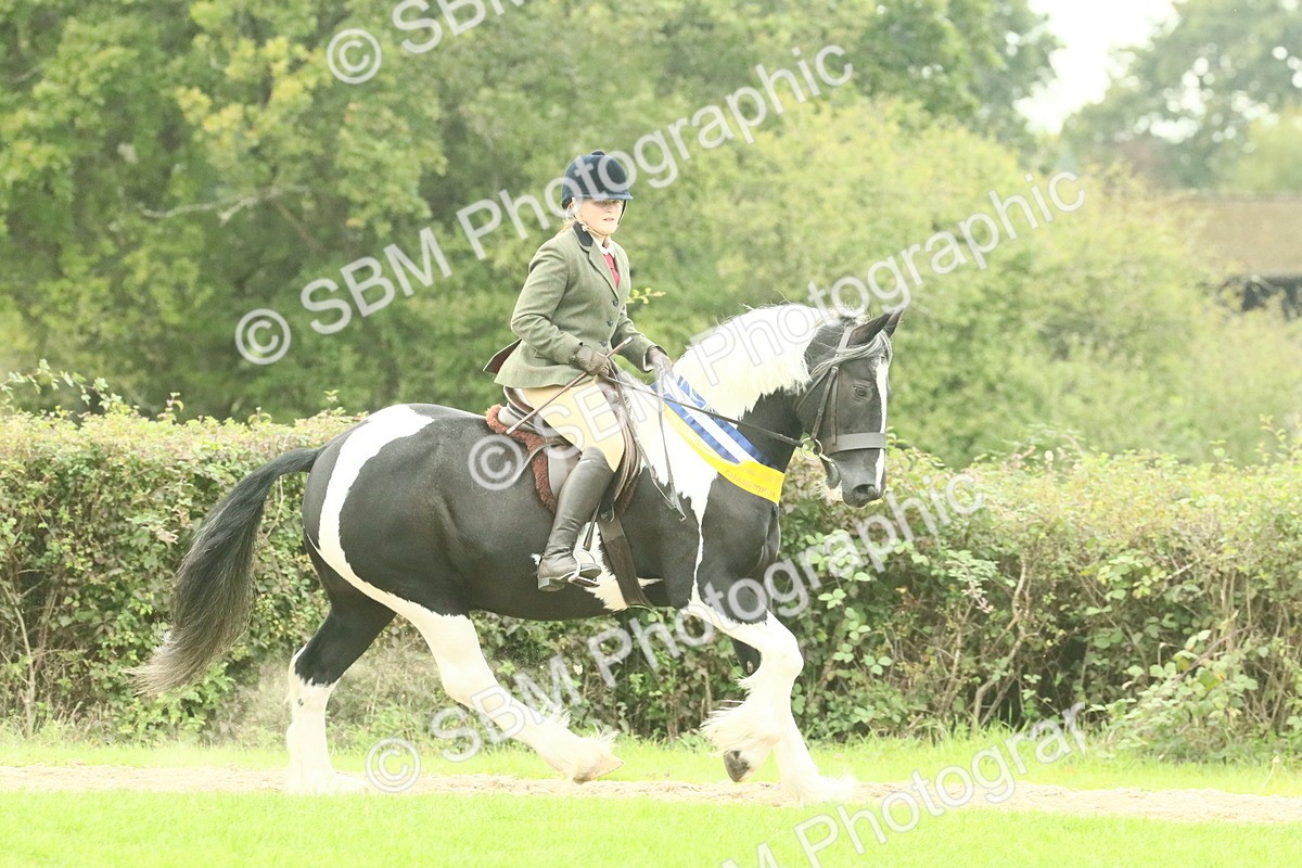 SBM_75158 - Super Supreme Championship