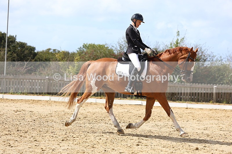 3E7A4795 - Class 11: Elementary Music