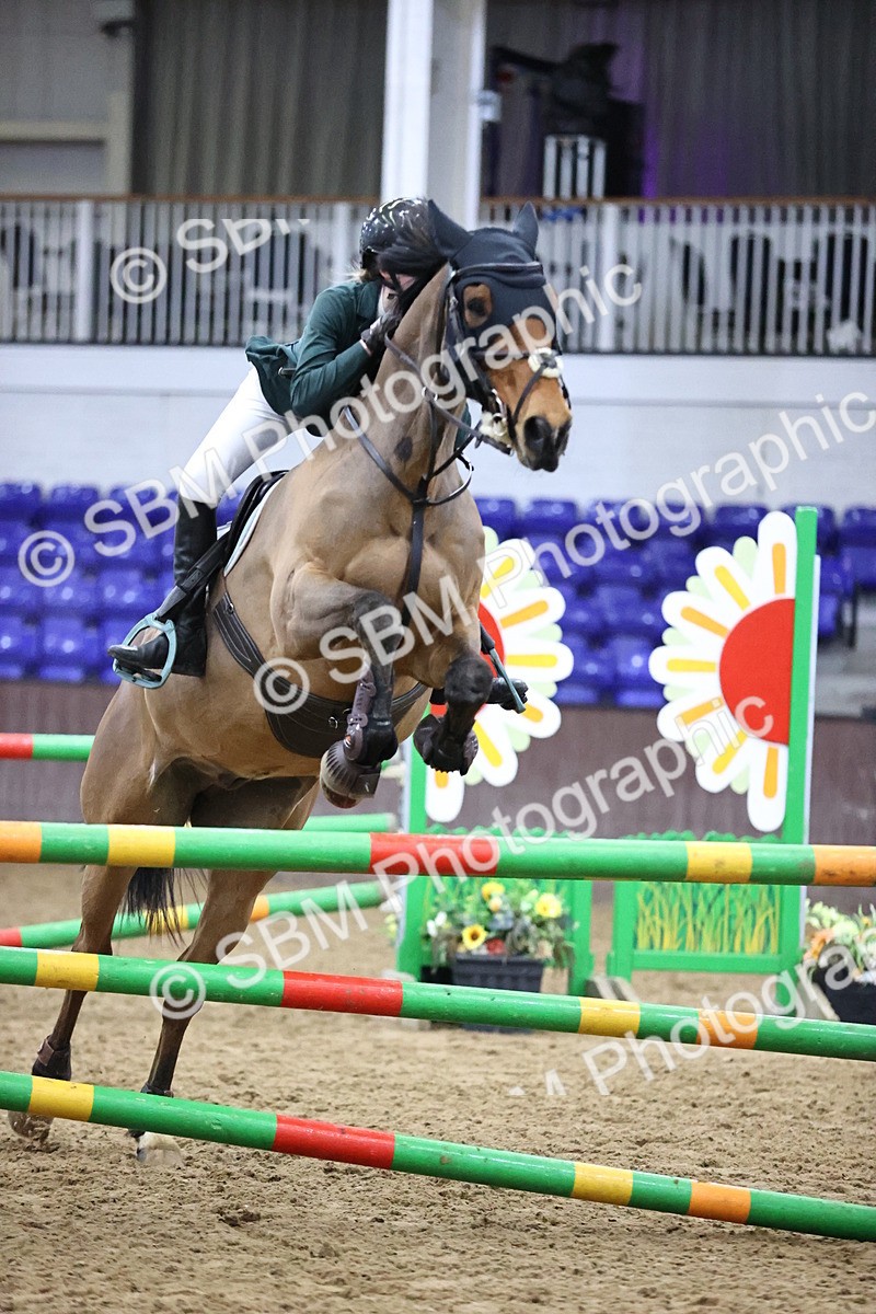 SBM_2302 - Class 8 - Nupafeed Supplements Senior Discovery/ 1m Open