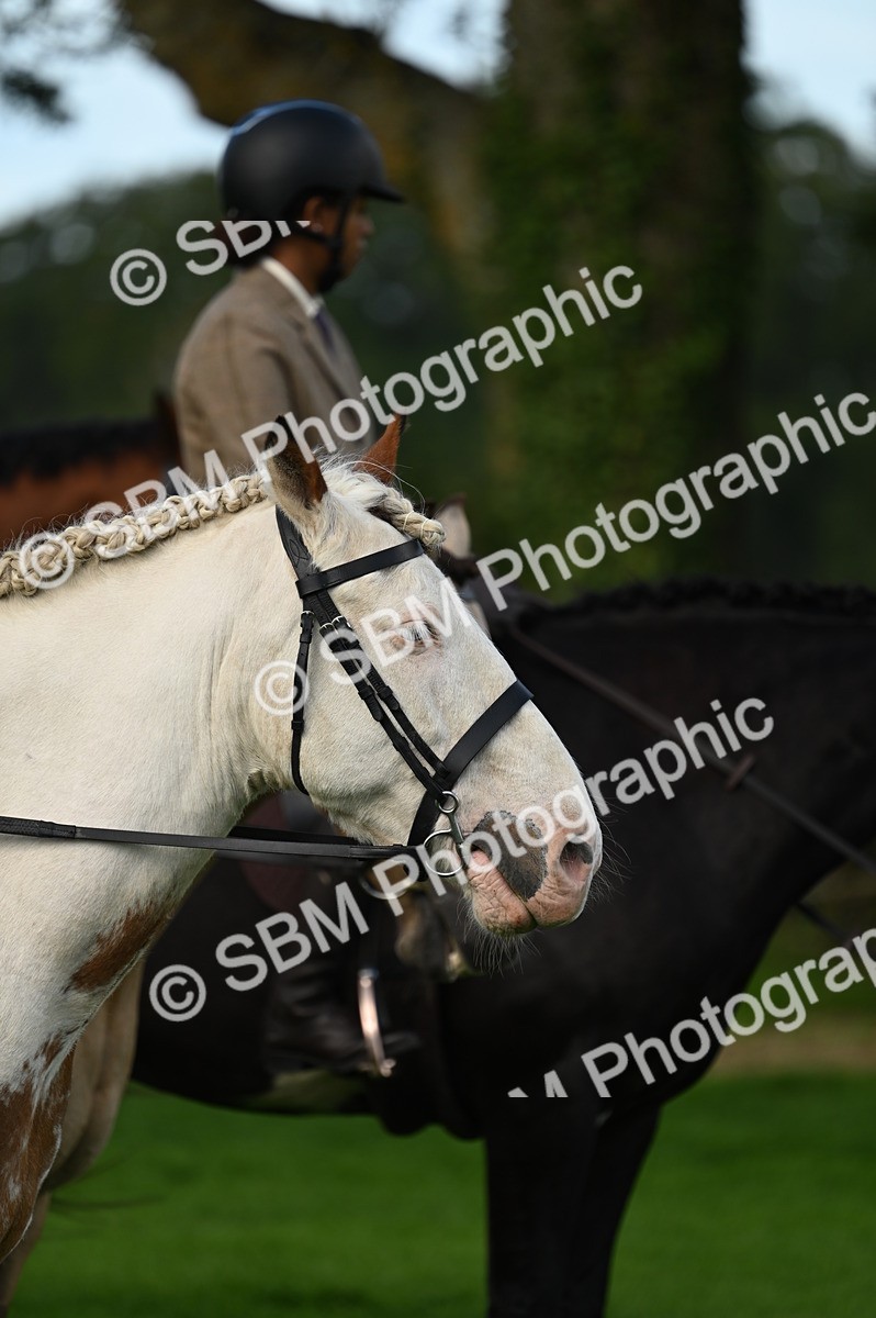 SBM_02053 - S2 - TSR Ridden Horse Showing