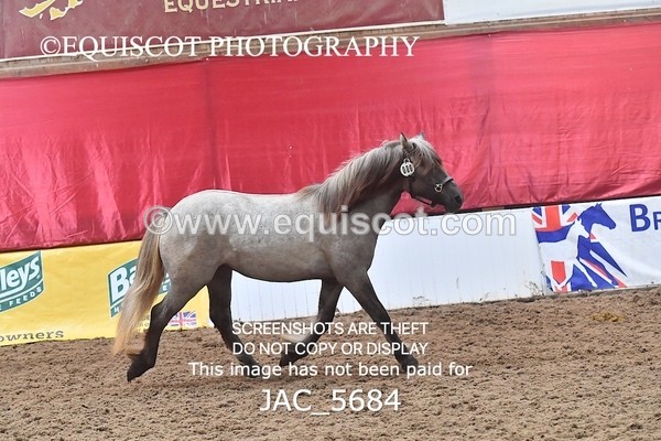 JAC_5684 - 6 Glenmuir Niamh