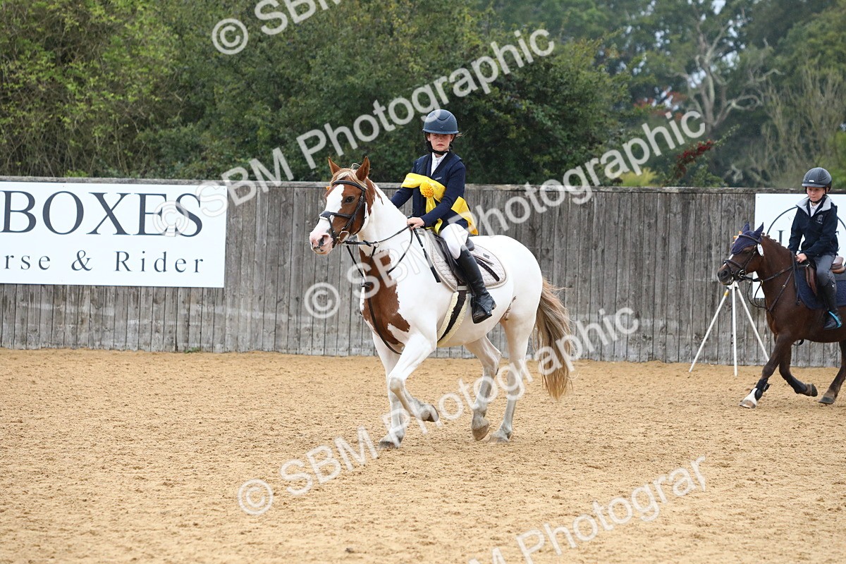 SBM_72131 - J3b - Mini Tour Junior Pony 40cm Championship