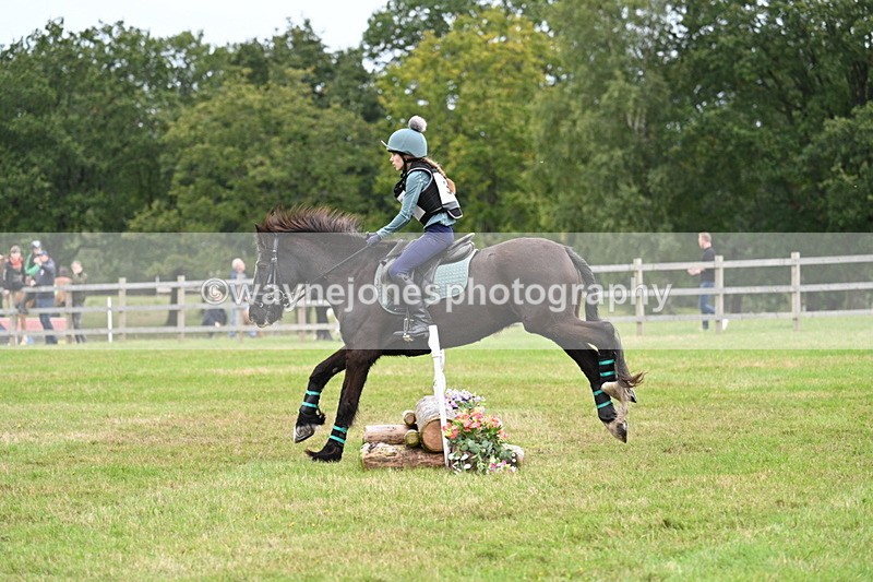 WJ7_7675 - 40cm Time 10:49 to 11:18