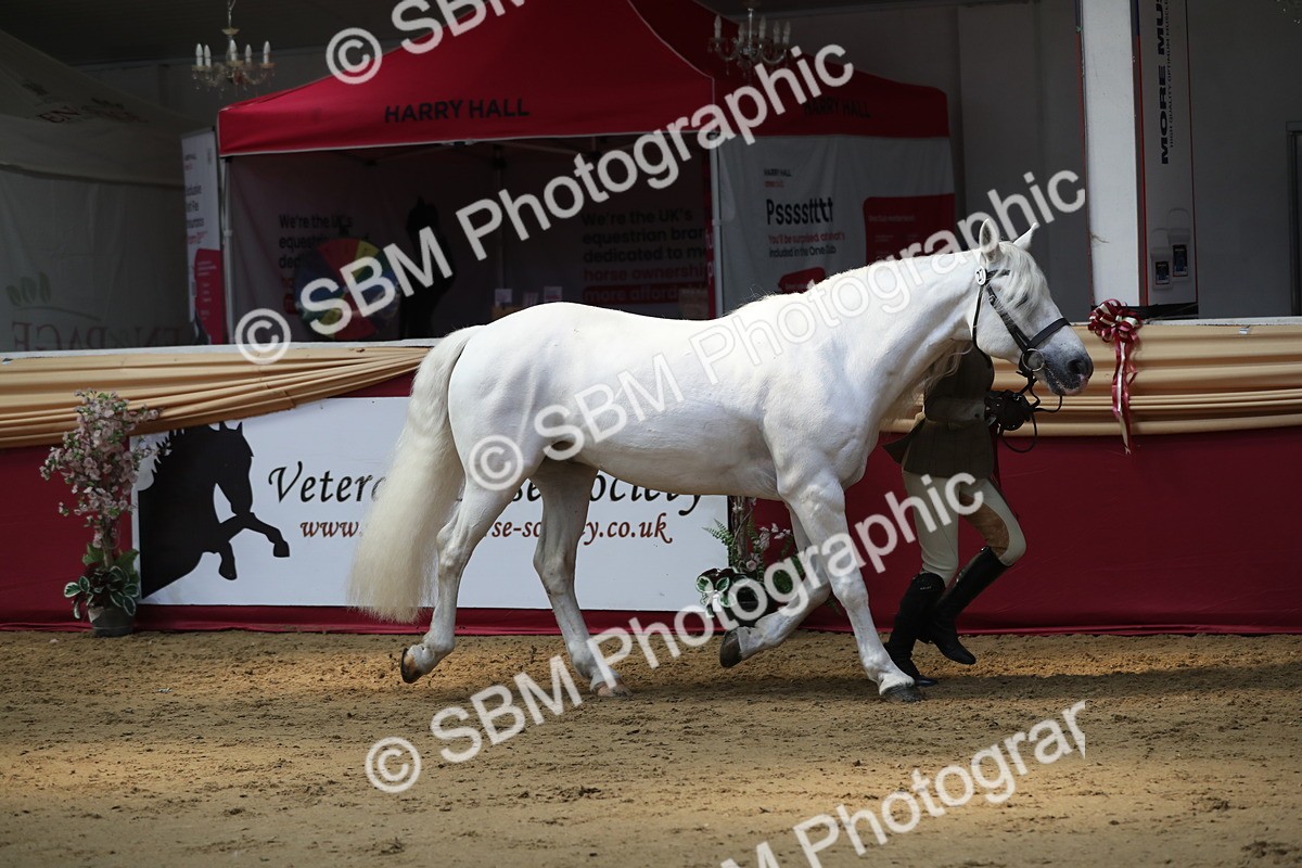 SBM_04510 - Class 7R Regional - IH Diamond