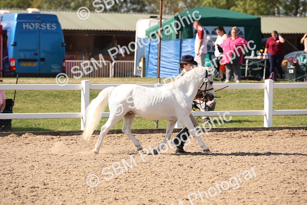 SBM_02704 - Class 16 IH M&M Wildcard