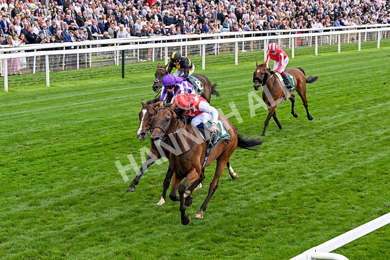210826-Race 2-Al Nayyir-0151 - Race 2 14.25pm Weatherbys Lonsdale Cup Stakes