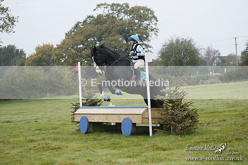 WWHT 181020 WWHT 181020 201 - WWEC Novice Restricted (0.80m) 18/10/20