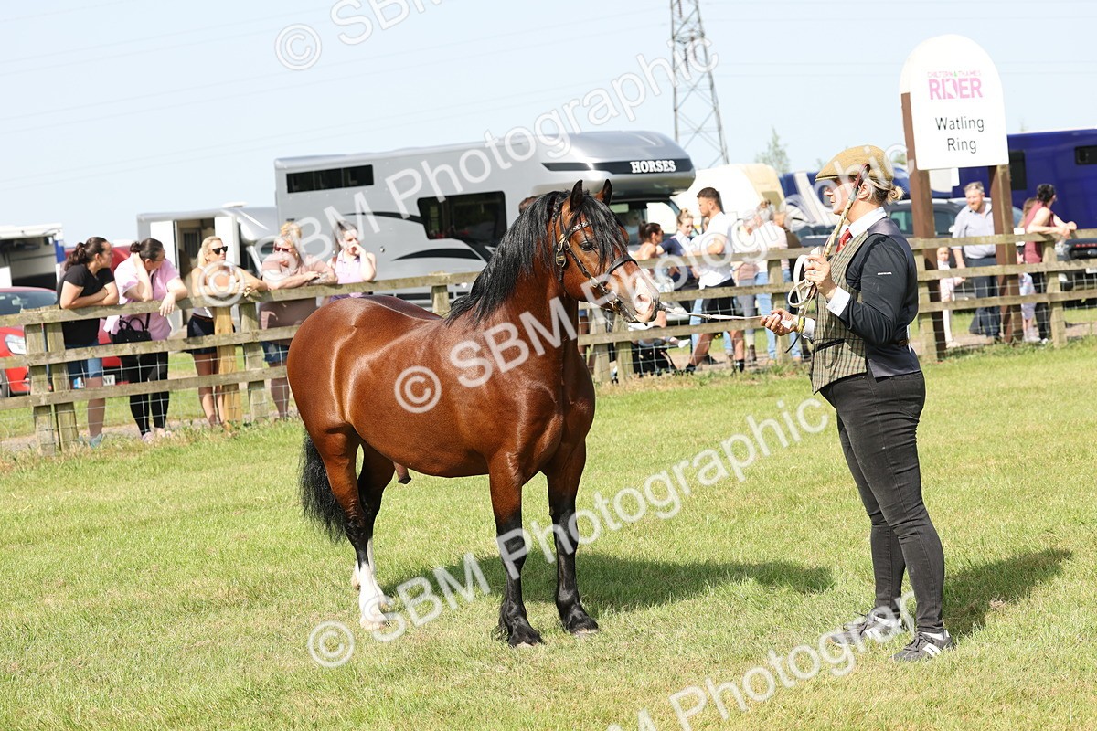 SBM_02127 - Class 6-13 - Mountatin and Moorland In Hand Welsh Breeds