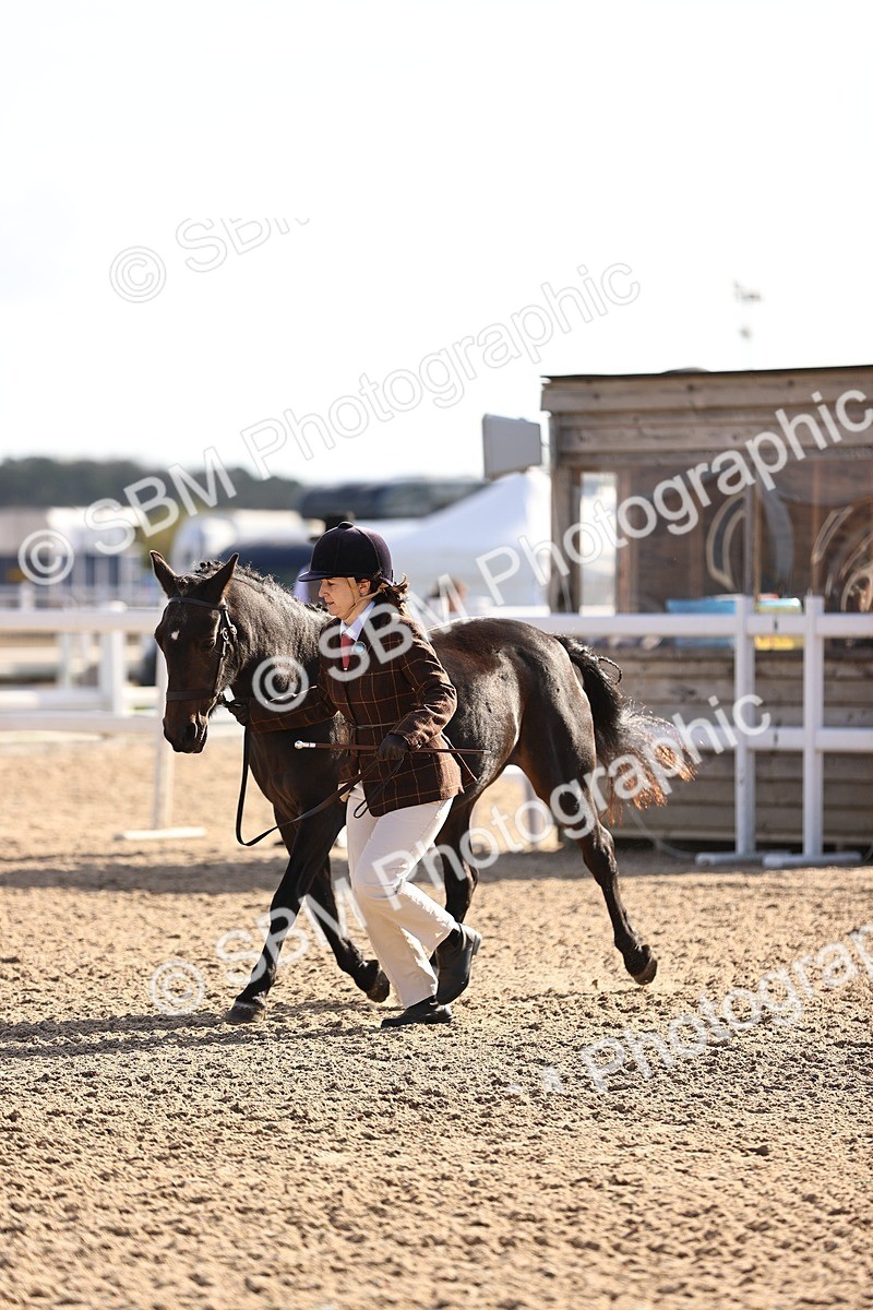 SBM_08525 - Class 402 - IH Veteran Pony