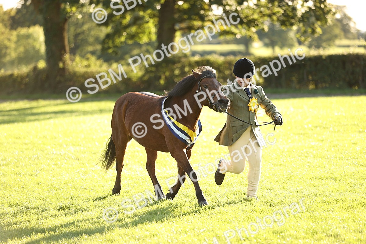 SBM_30153 - Novice & Newcomers Supreme Championship