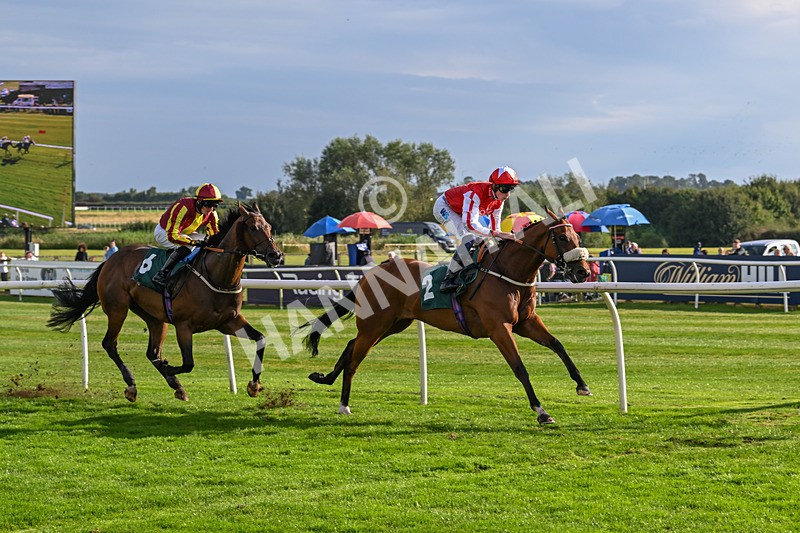 280824-Race 6-Night On Earth-4946 - Race 6