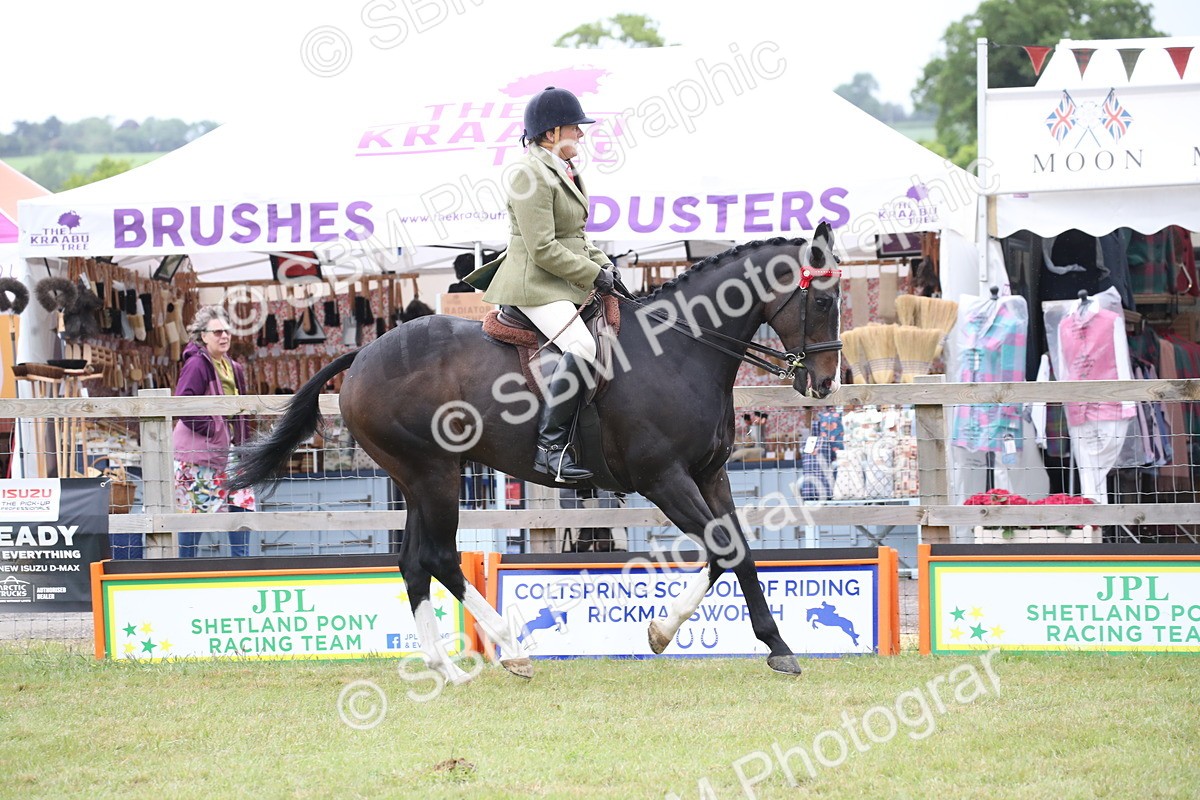 SBM_11427 - Class 94 - LIHS BSHA Racehorse to Showhorse