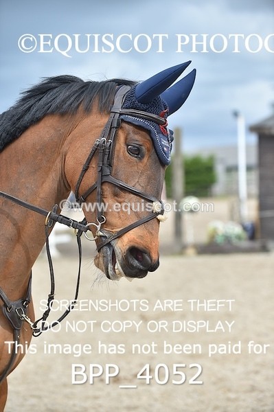 BPP_4052 - CLASS 4 Senior Newcomers/ 1.10m Open