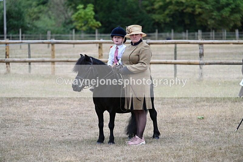 WJ7_8351 - Class 4 Prettiest Mare up to 14.2hh