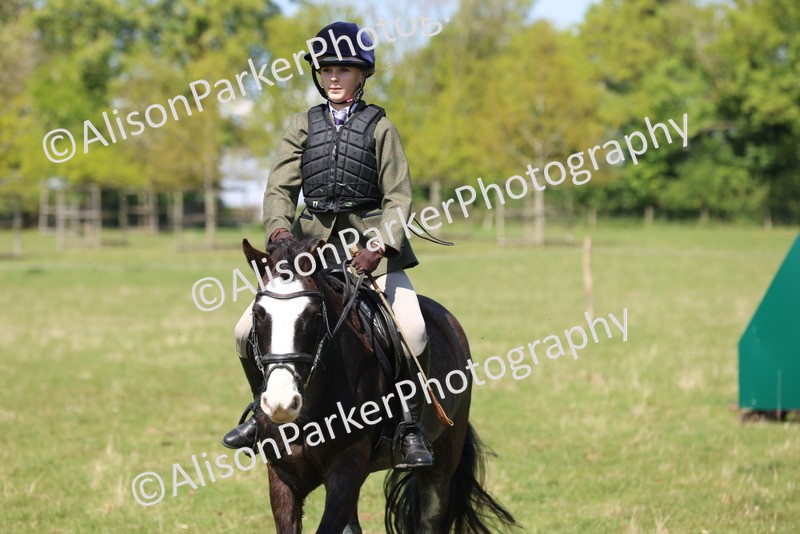 20250427-2590 - Class 20 - Working Hunter Ponies
