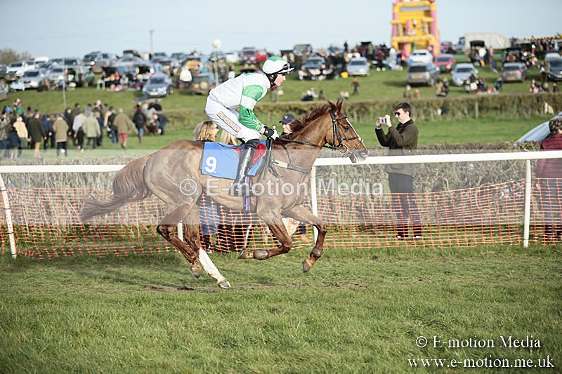 PtP 230319 516 - VWH Hunt Siddington Point-to-Point Racing 23/03/19