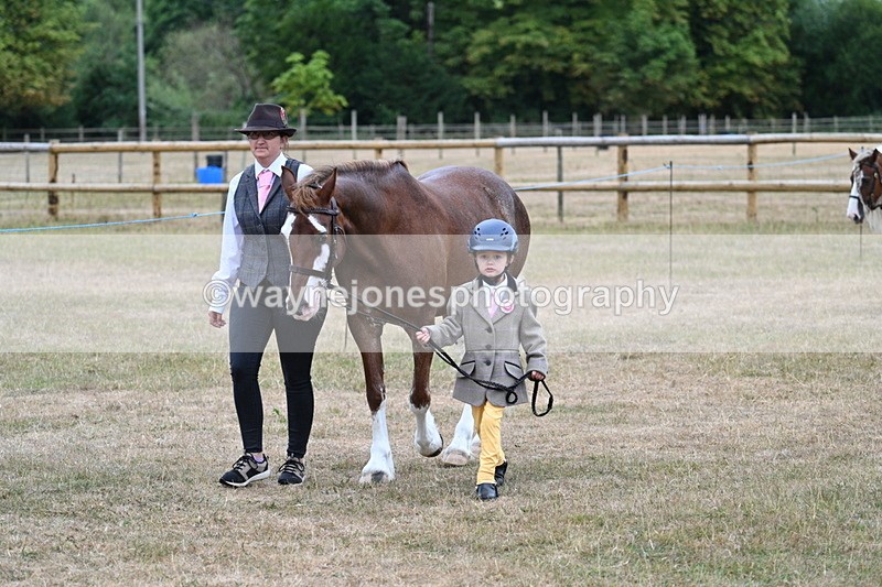 WJ7_8006 - Class 4 Prettiest Mare up to 14.2hh