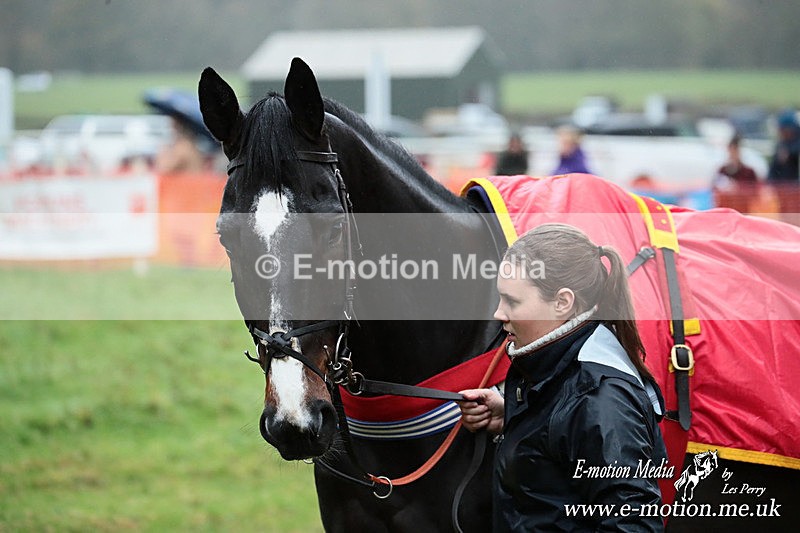 PtP 091125  0007 - Point-to-Point Wales Area Club Lower Machen, Gwent 09/11/25