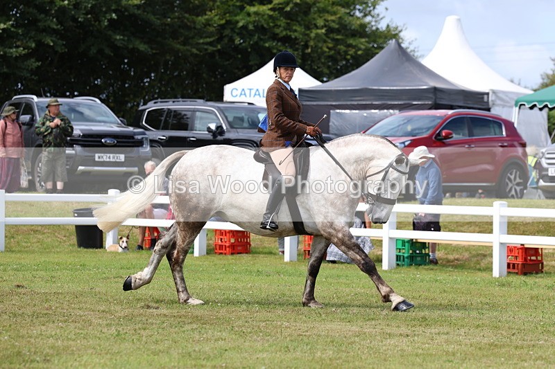 3E7A0183 - Class 6: Rising Star Maxi Cobs