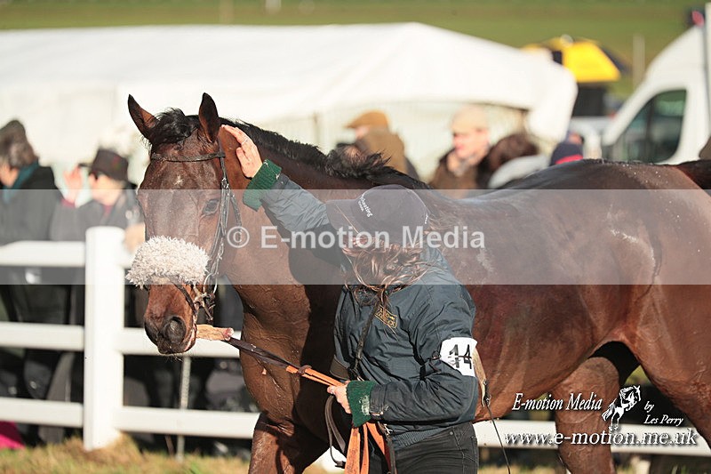 PtP 101223 897 - New Forest Hounds PtP Larkhill 10/12/23