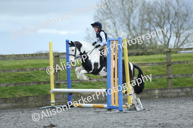 20260412-1831 - Show Jumping