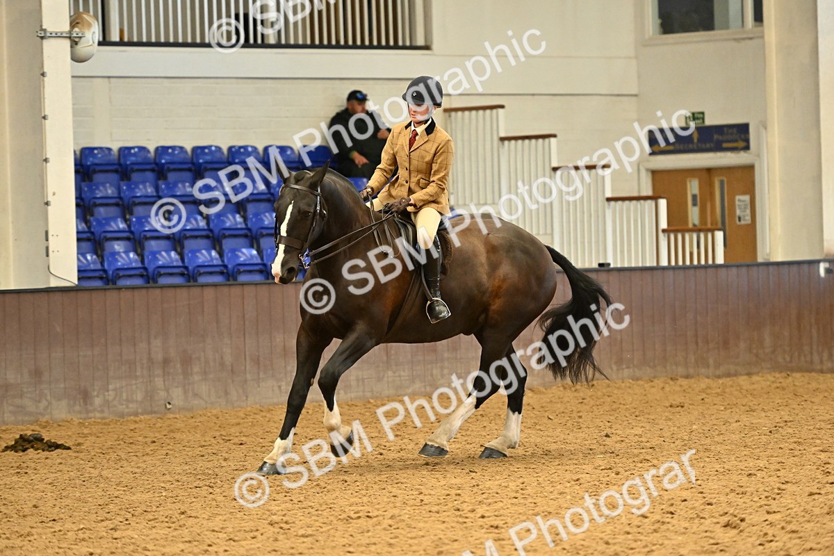 SBM_002043 - Class 21 - BSHA Ridden Show Cob