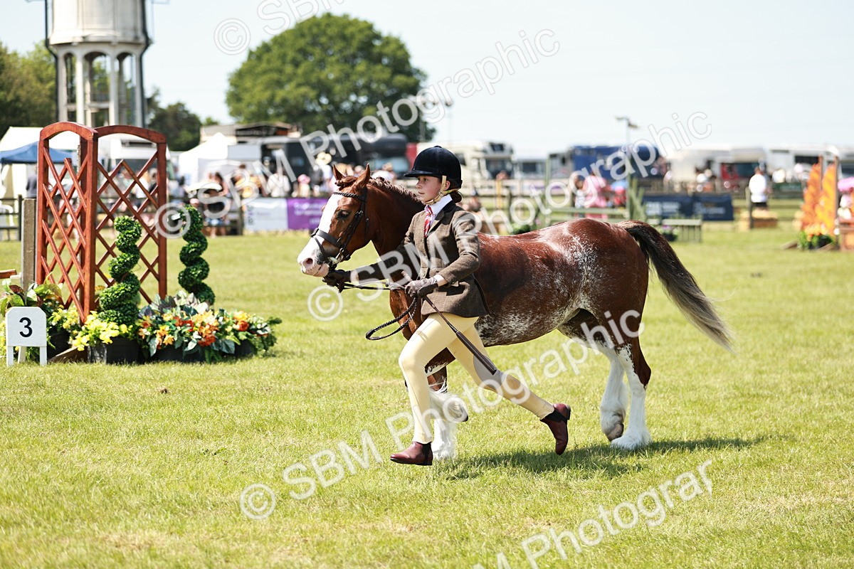 SBM_15564 - Class 108-109 - BSPS LIHS Open Gradle & Nursery Stakes