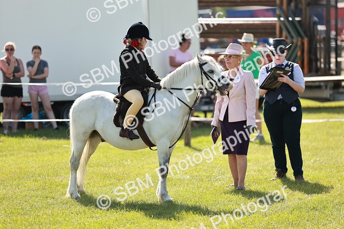 SBM_12614 - Class 106-107 - BSPS LIHS Working Sports Pony