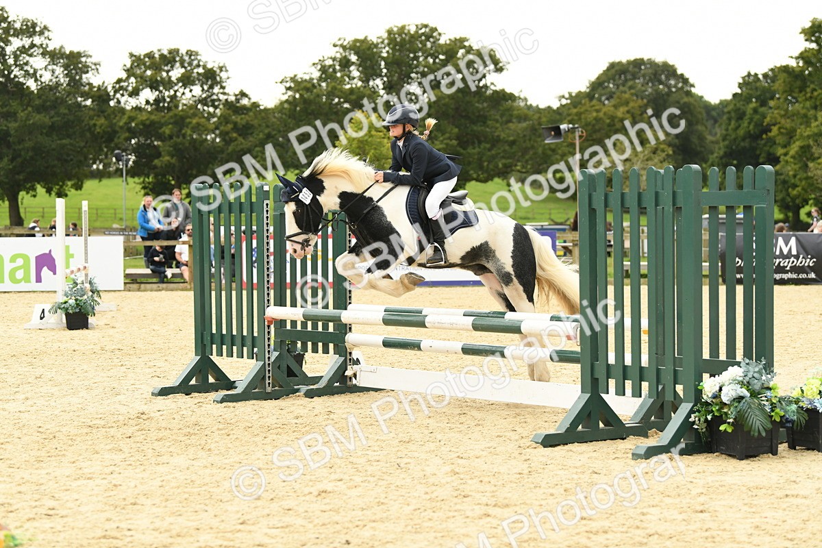 SBM_73138 - J16 - Junior Pony 75cm Championship