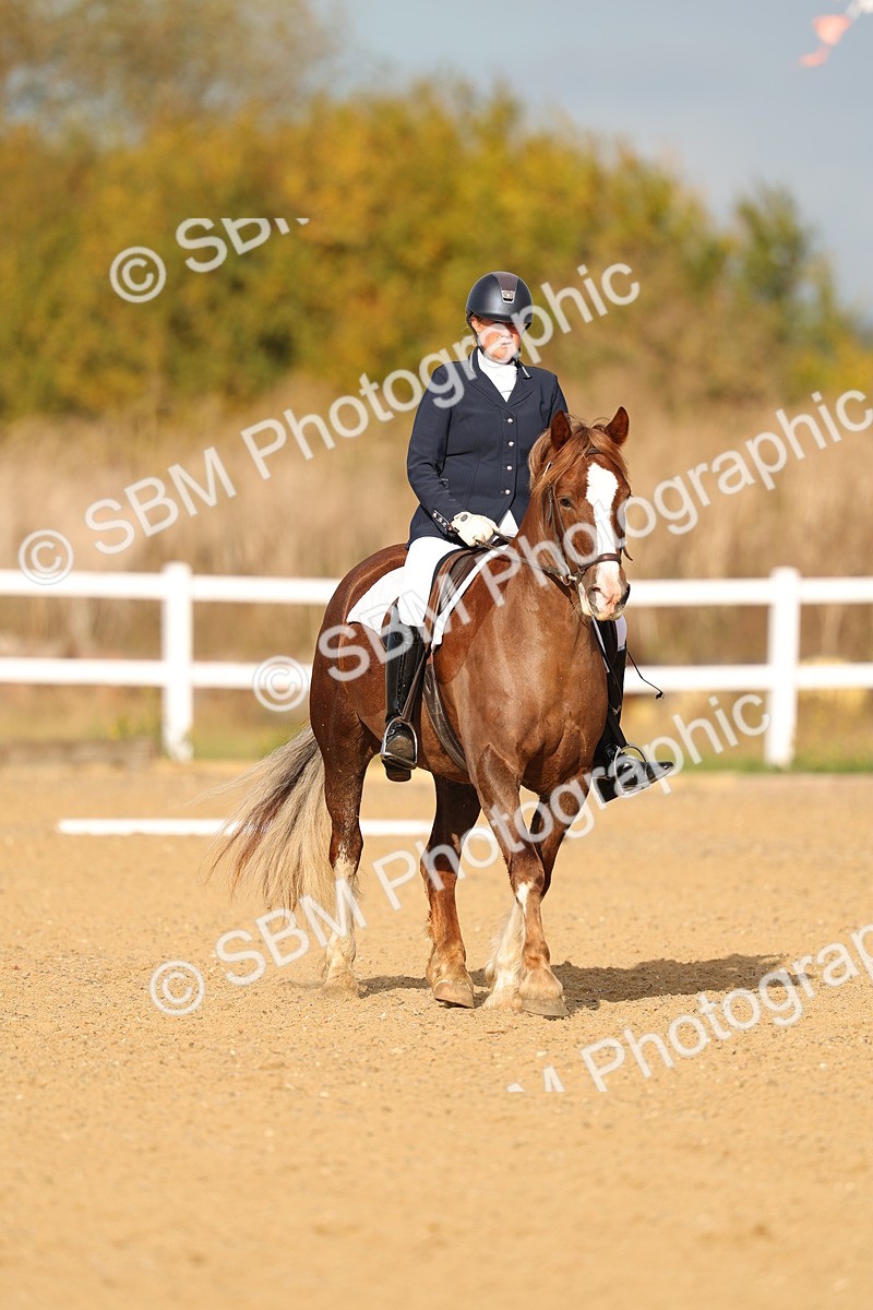 SBM_009306