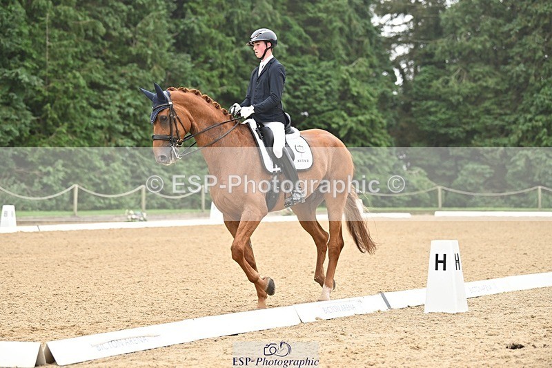 240811-113703-05214 - 208-Tom.Carter-Rubin.Regal