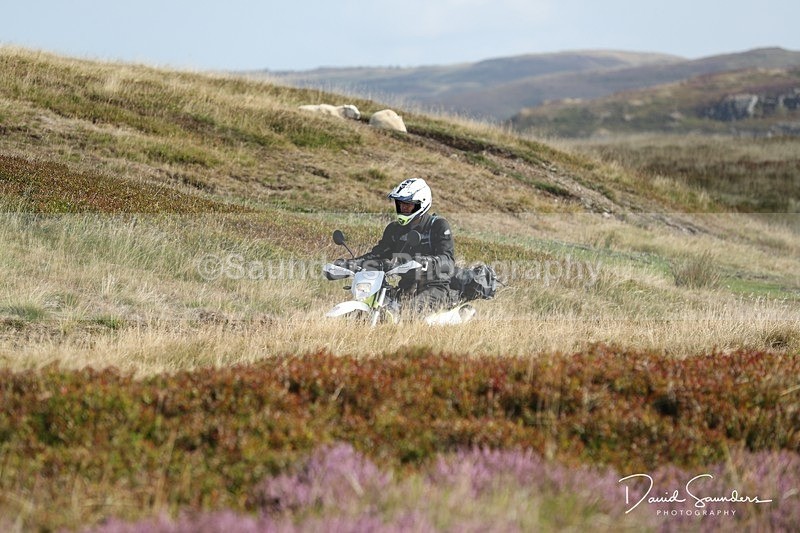 SPXX0174 - Trail bikes