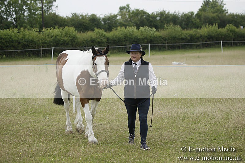 B230619-0690 - Bourne Valley Riding Club Summer Show 23/06/19