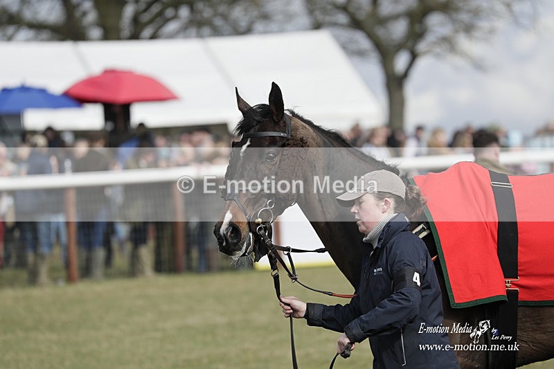PtP 180323 623 - Shelfield Park Races with Croome & West Warwickshire Hunt  18/03/23