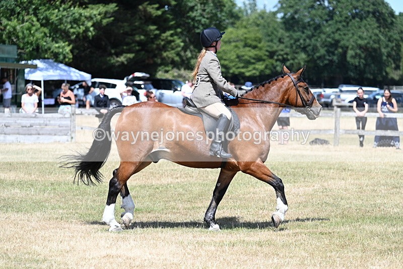 WJ7_3491 - Class 8 Ridden Veterans