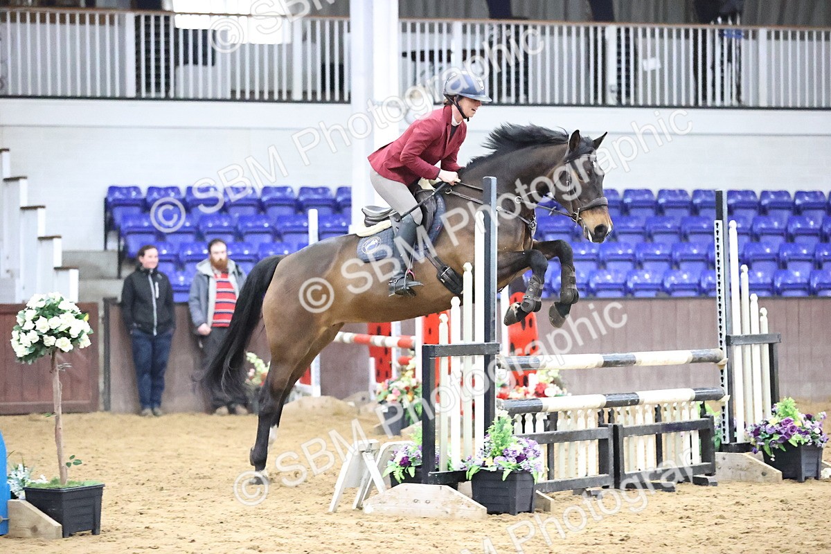 SBM_001500 - Class 8 - Senior British Novice - 90cm