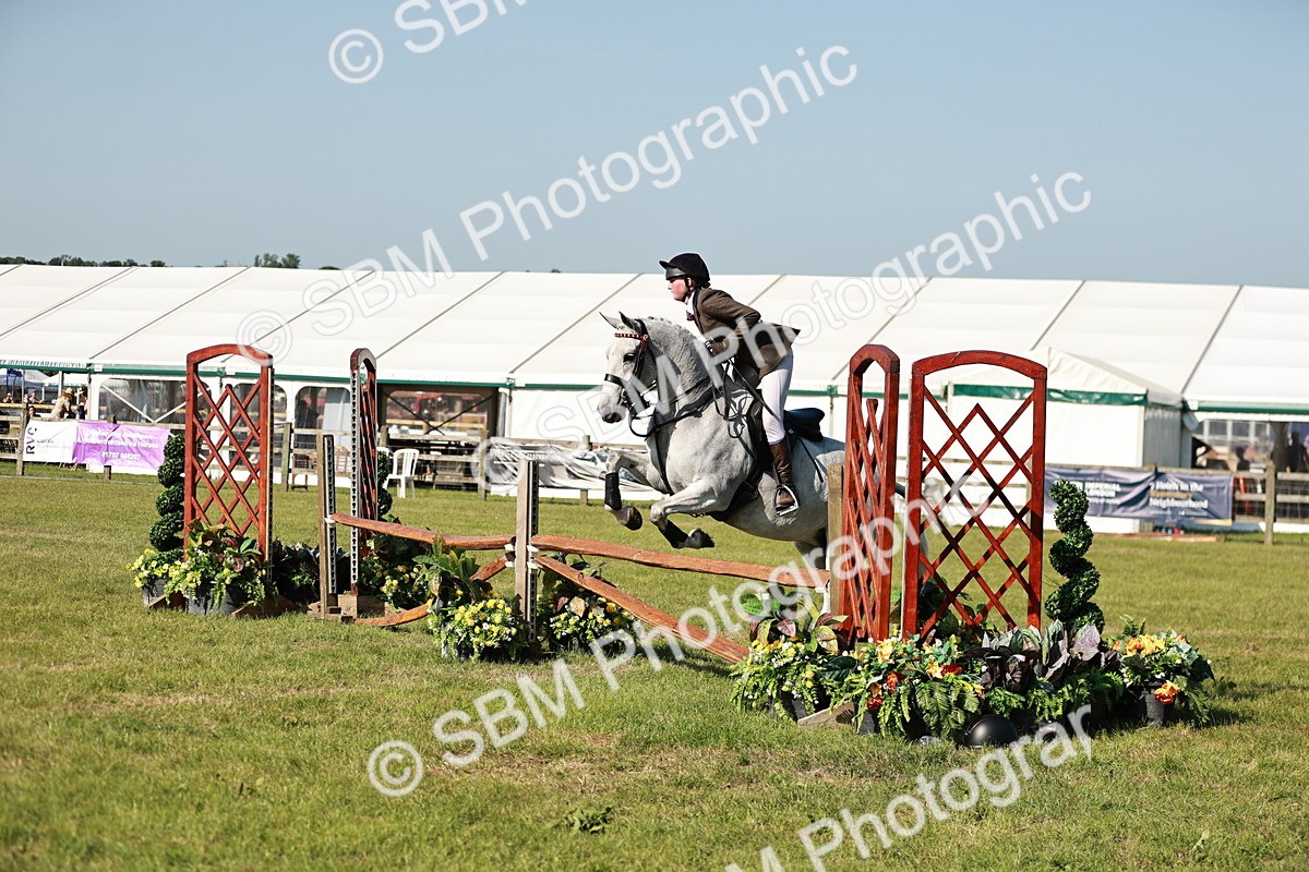 SBM_19174 - Class 115-116 - LIHS BSHA Rising Star Working Hunter & Show Horse