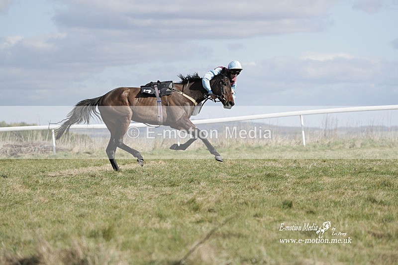 PtP 260223 484 - South & West Wilts Point-to-Point Larkhill 26/02/23