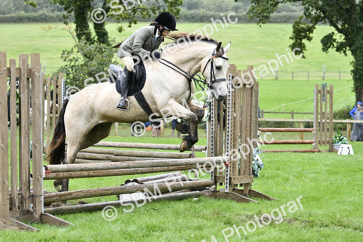 SBM_42297 - S32 - Mountain & Moorland Working Hunter Pony