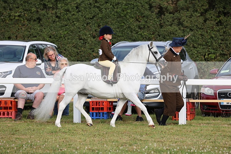 JPP_0255 - Class 14: Cornish Combination Leading Rein