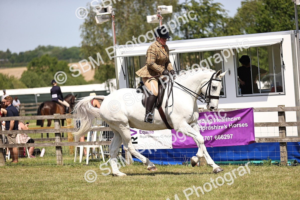 SBM_16228 - Class 79-80 - LIHS BSHA Rising Star Ridden Hunter