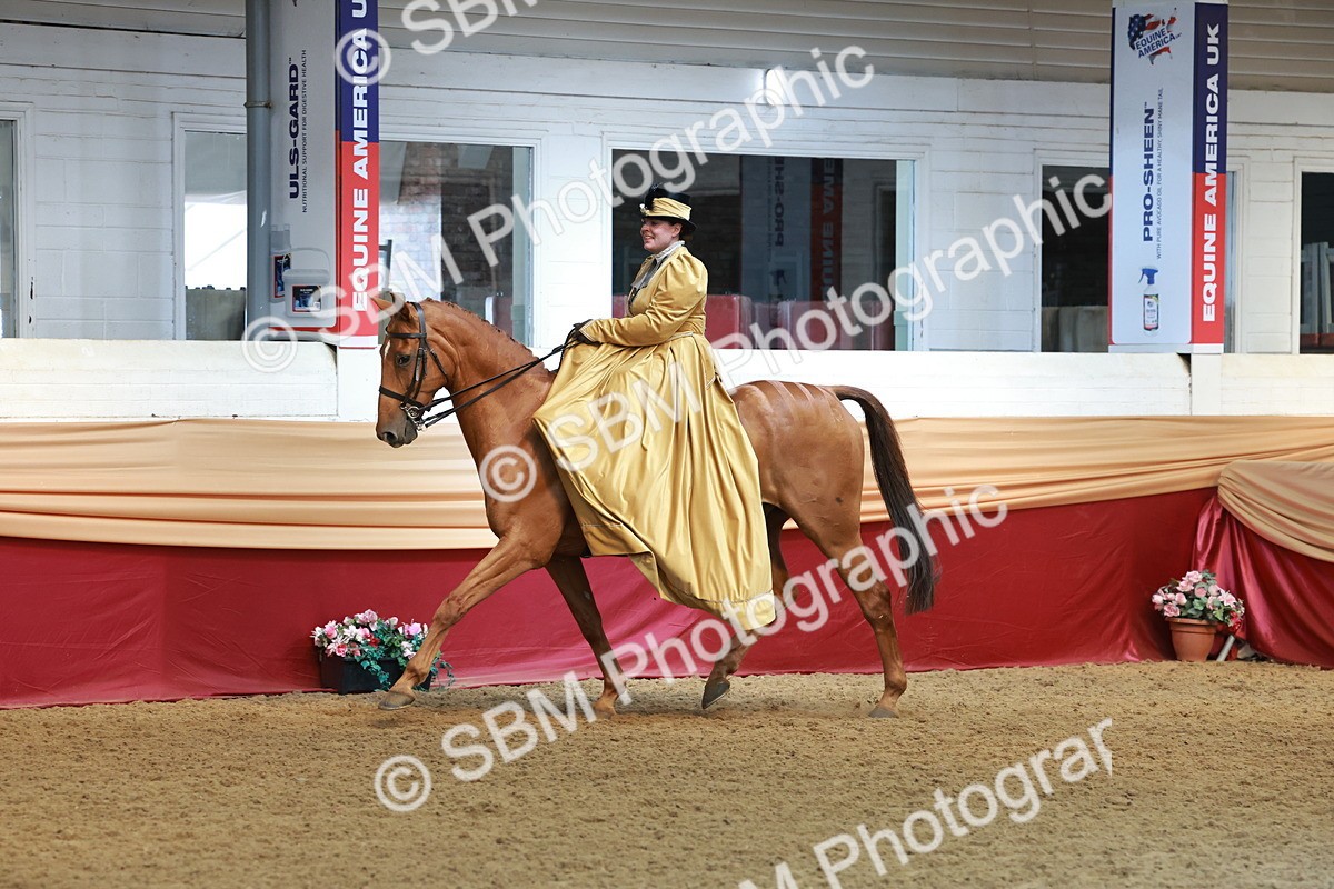 SBM_13556 - Class 105 - Ridden Costume - Side Saddle