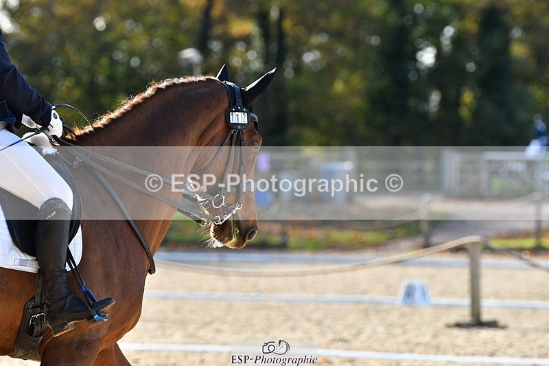 231110-124445-01457 - Cls 6 Elementary 57Q