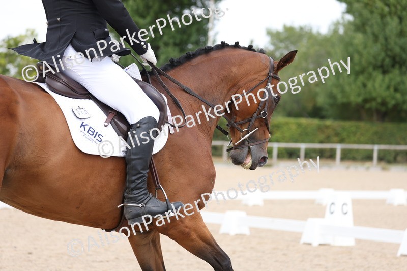 20250819-1389 - Class 4 - Novice 2