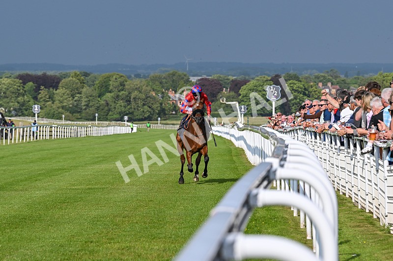 170625-Race 1-Command The Stars-5591 - Race 1