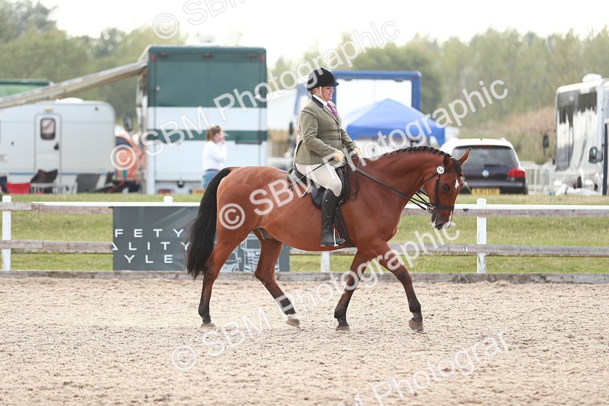 SBM_15500 - Class 213 Ridden Hunter -Large