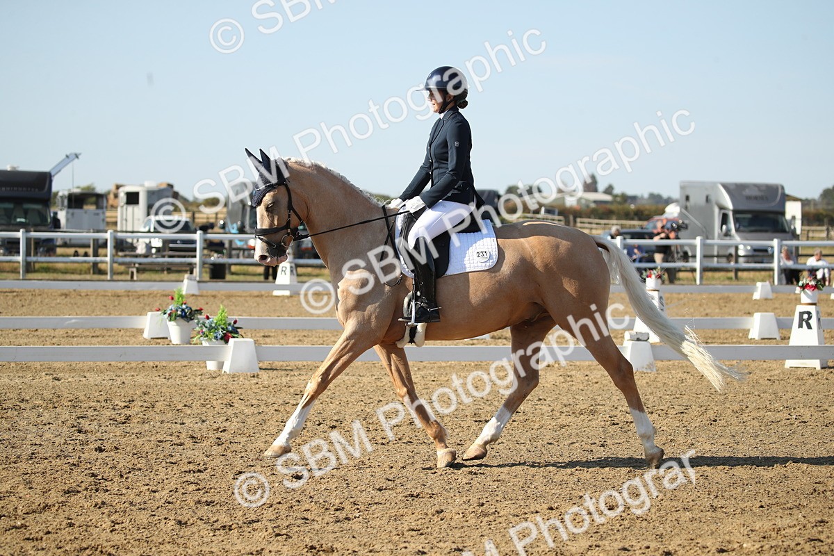 SBM_004531 - Class 11 - Novice 5 - 9.0010.03