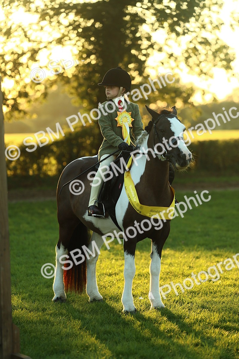 SBM_56620 - Fun & Versatile Supreme Championship