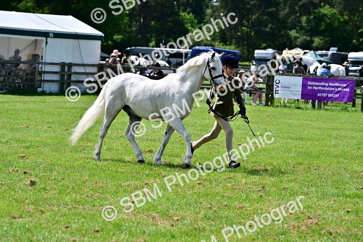 SBM_03897 - Class 58 - TSR  Ridden Veteran Amateur of the year